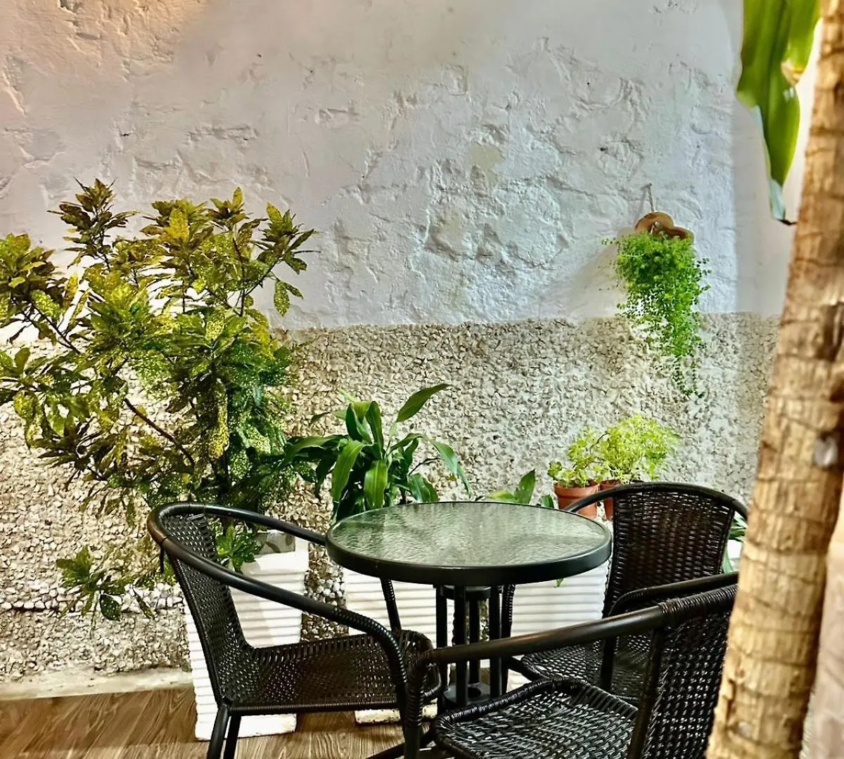 Casa Centro Historico Hotel Cartagena 0*,